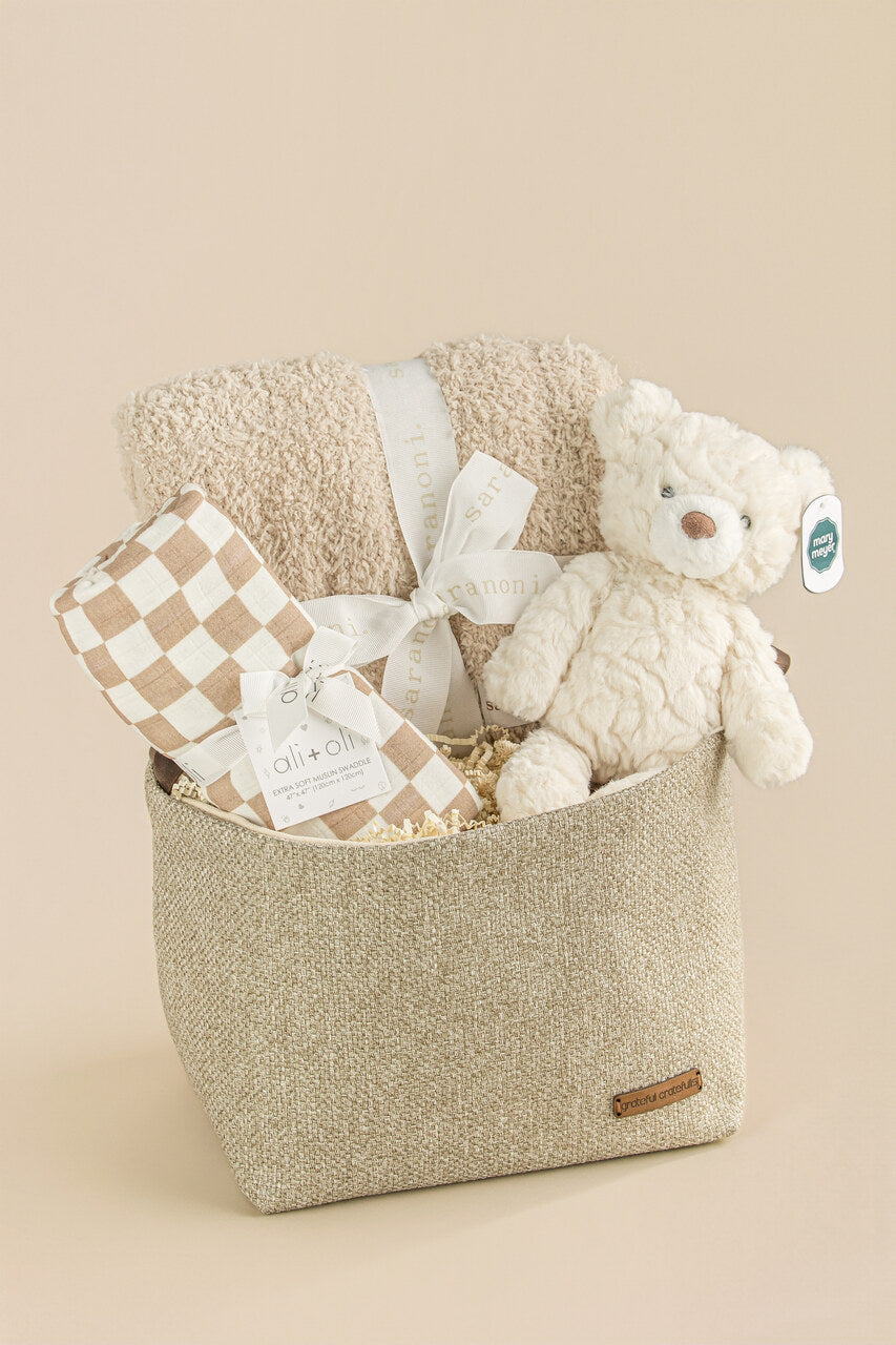 Bear Hugs Baby Tote