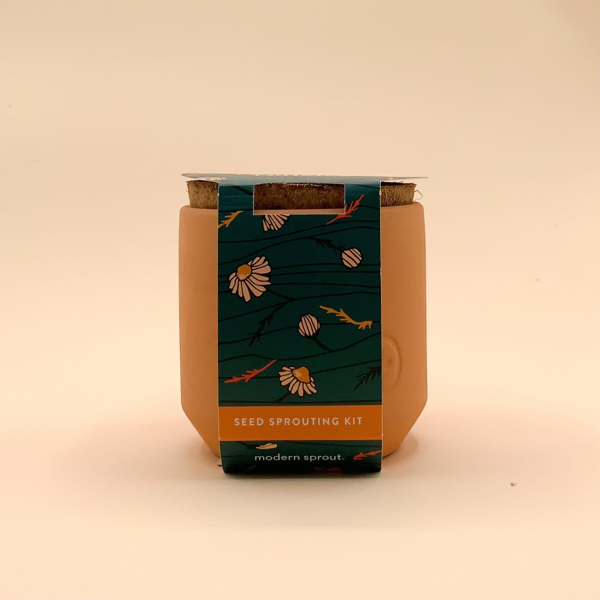 Thank You Daisy Tiny Terracotta