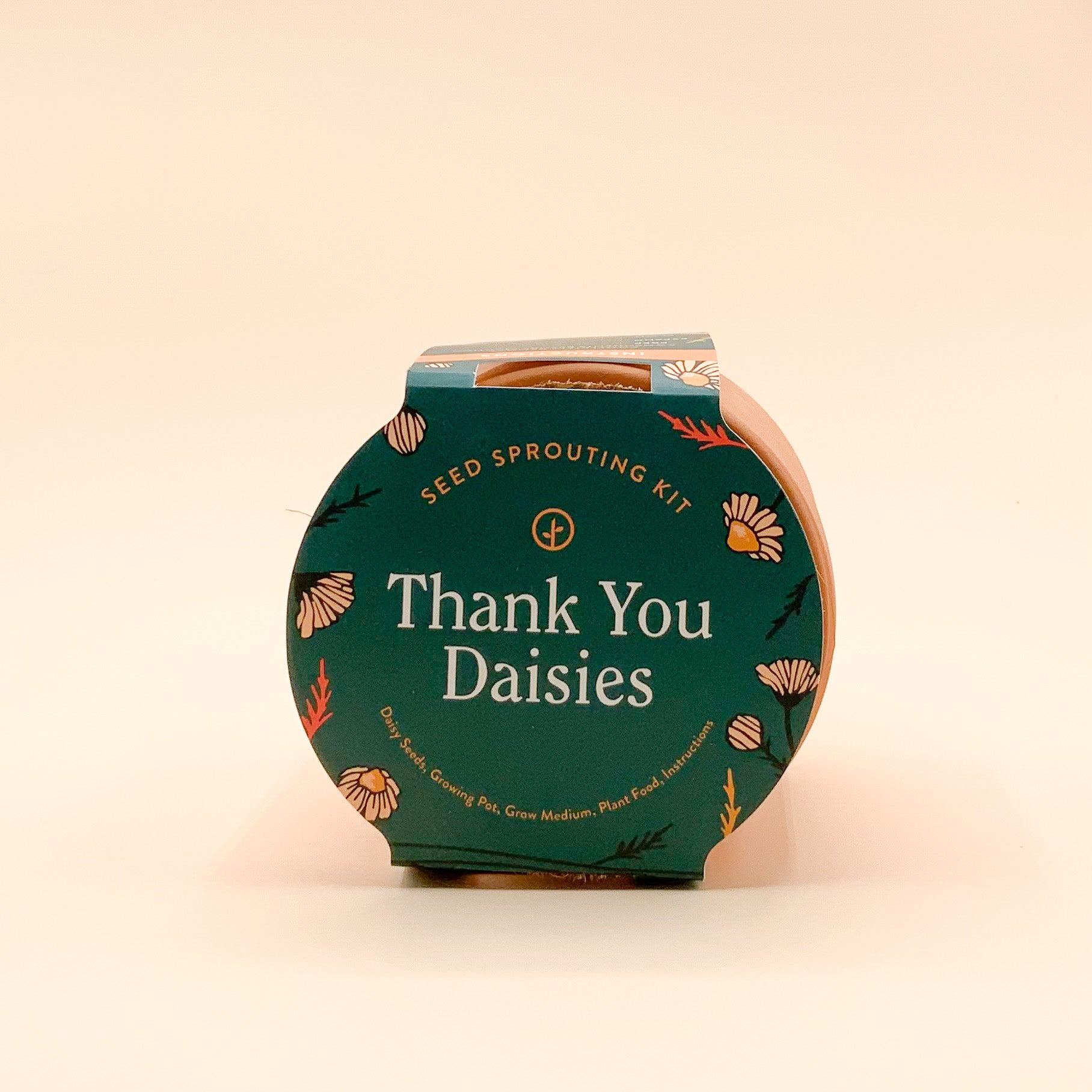 Thank You Daisy Tiny Terracotta
