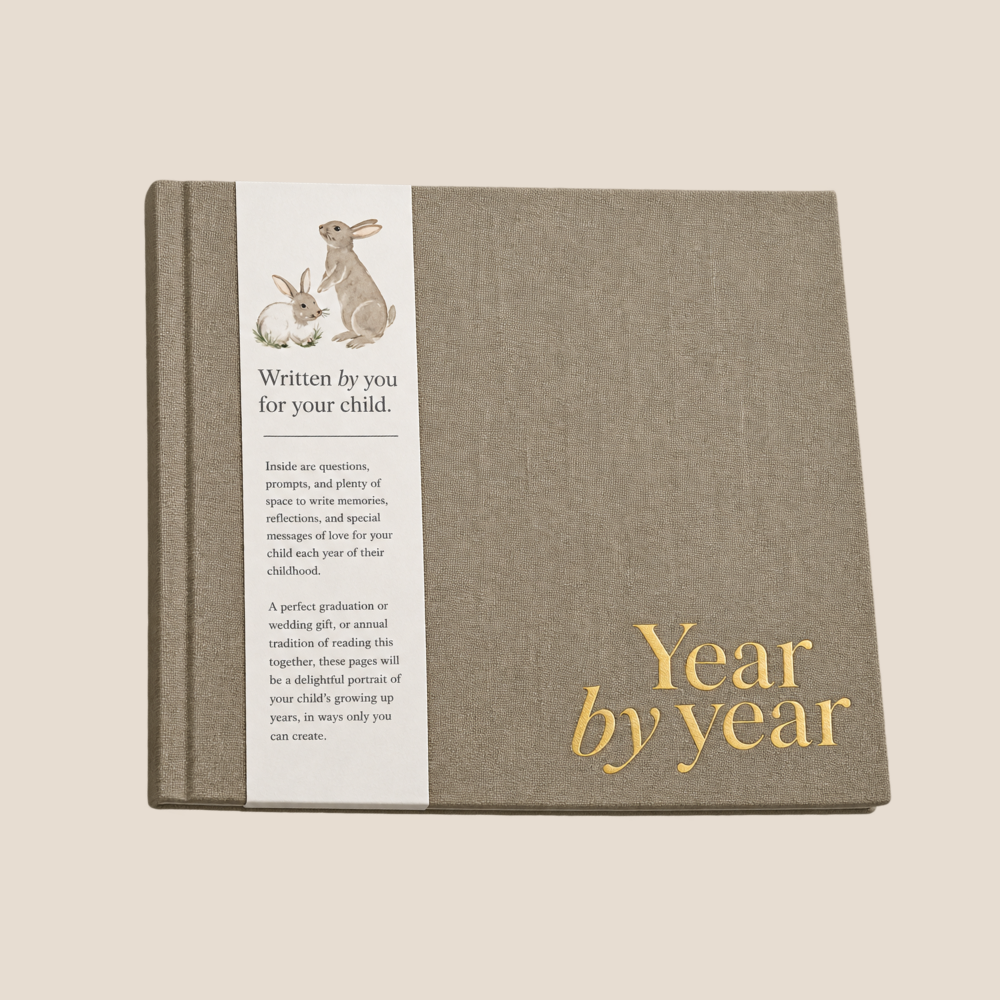 Year By Year Baby Book