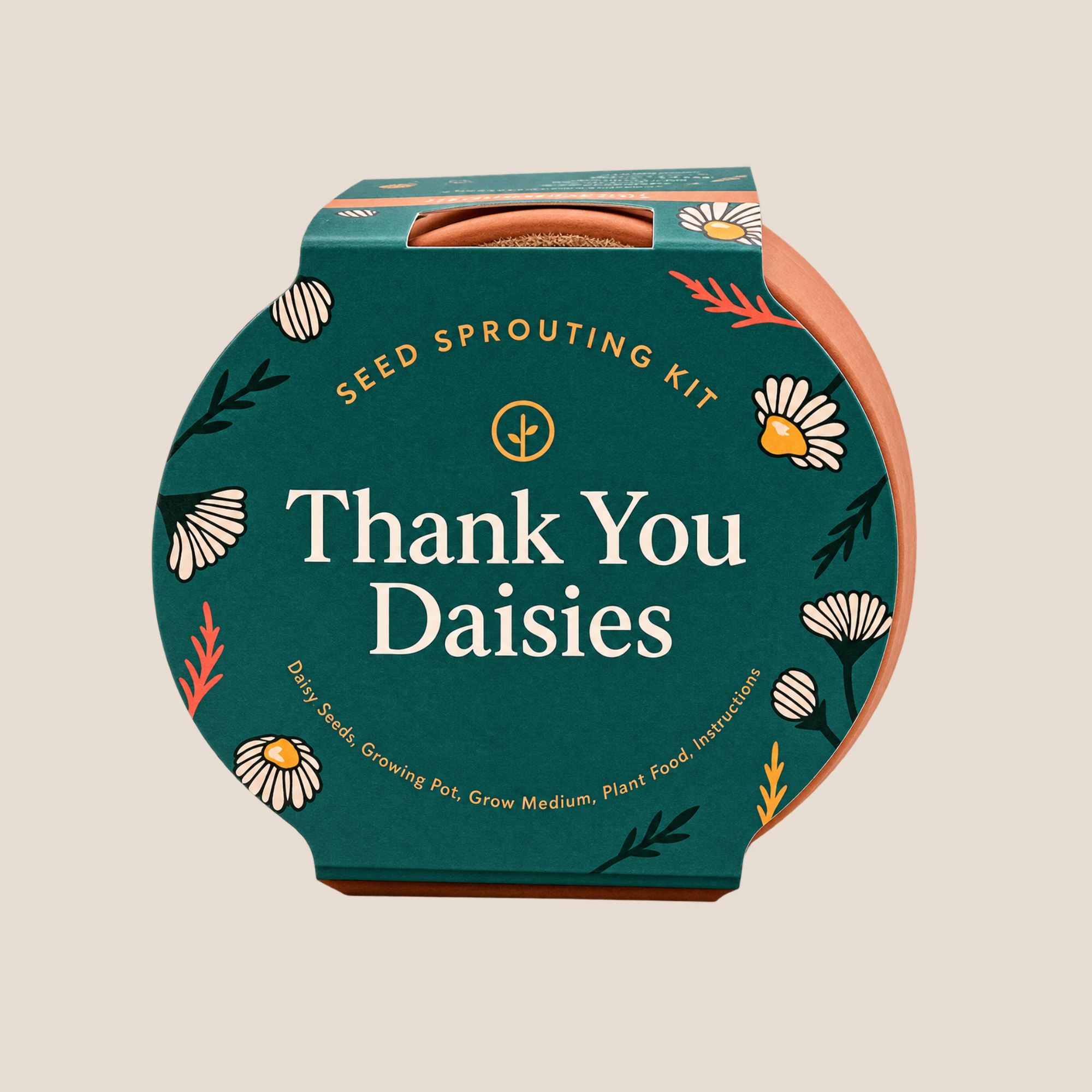 Thank You Daisy Tiny Terracotta